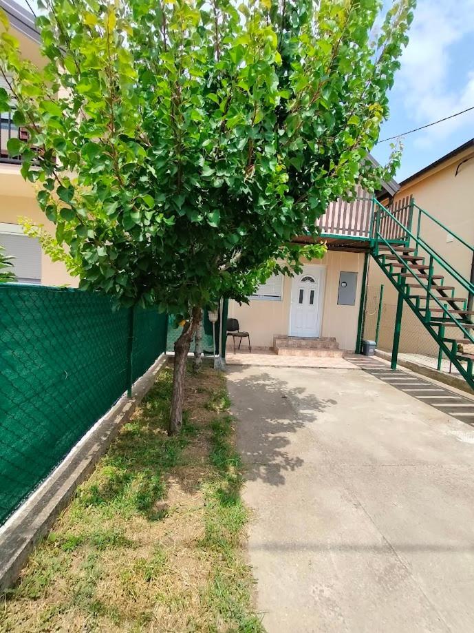 A1 - Airport Belgrade Apartment מראה חיצוני תמונה